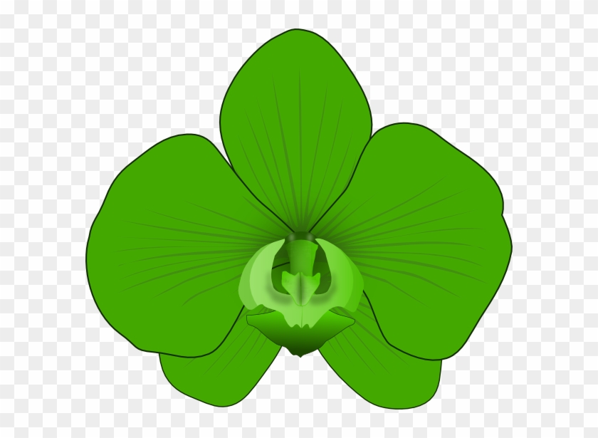 Green Orchid Clip Art At Clker - Green Orchid Clipart #619084