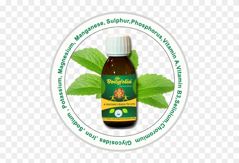 Welcome To Bodyfolia - Natural Foods #619940