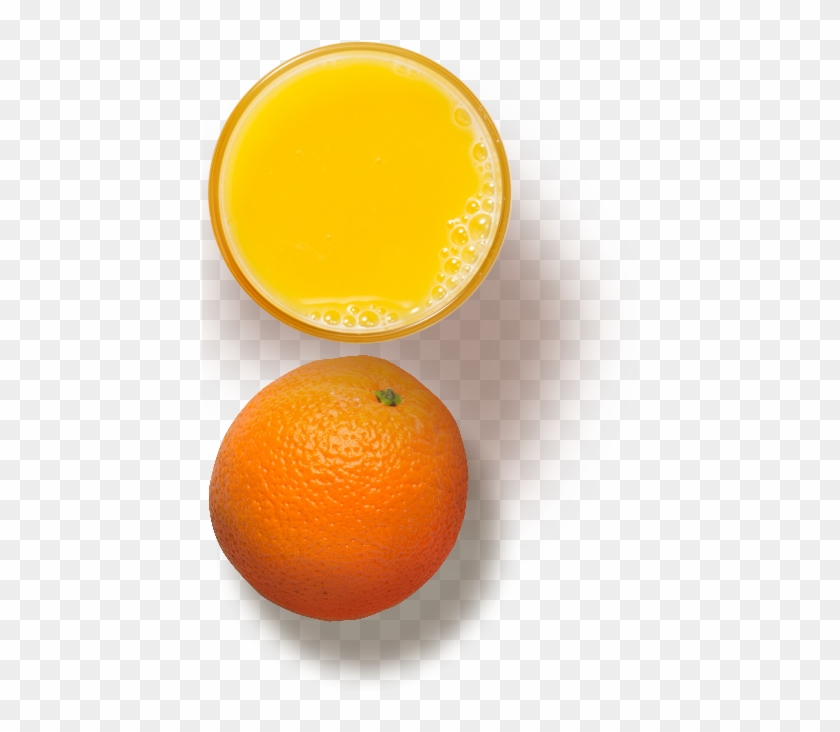 Orange Png Top View #620198
