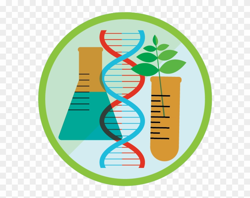View Challenge Intro To Biotechnology - Genetic Engineering #620900