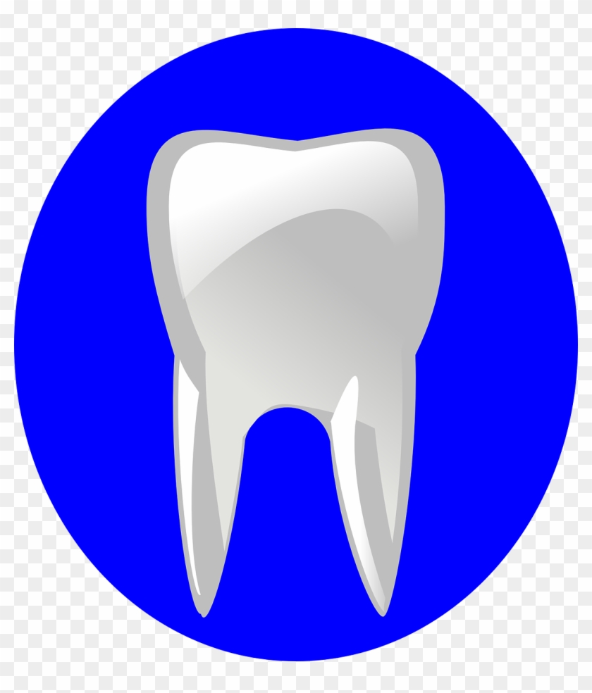 Tooth #622495