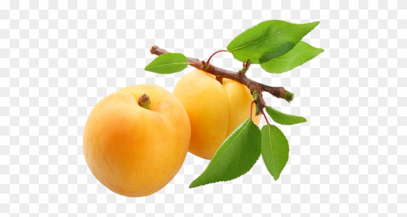 Fruit Tree Drawing Download - Chef Masterpiece Herbs Flavor Snack Specialty Fruit #623069