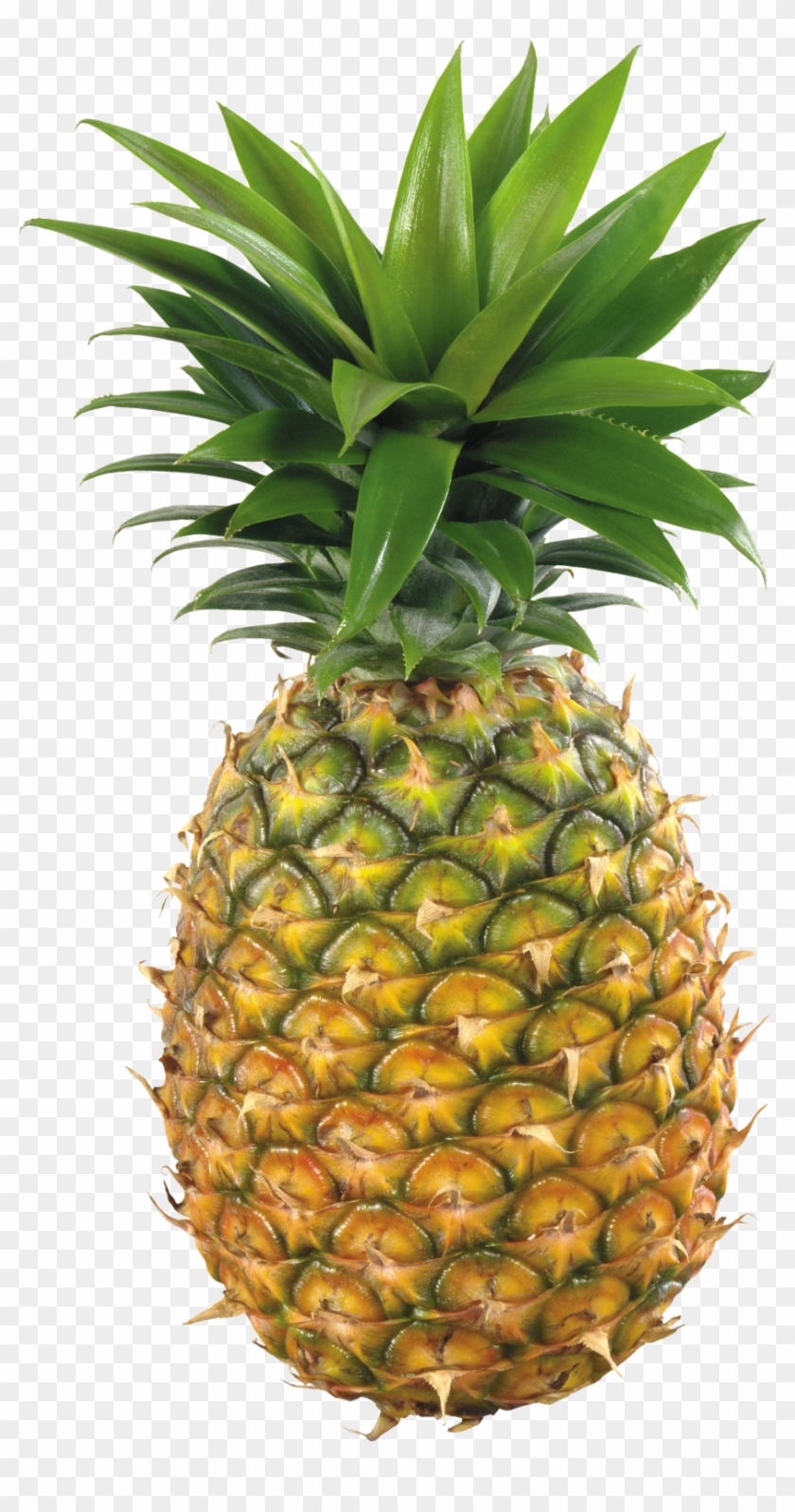 La Piña - Miwind-f Cute Spring/summer Fashion New Pineapple Fruit #623554
