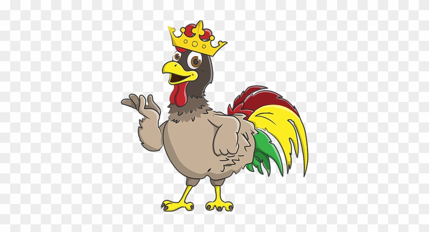 Contact Us - Jerkkies #624582