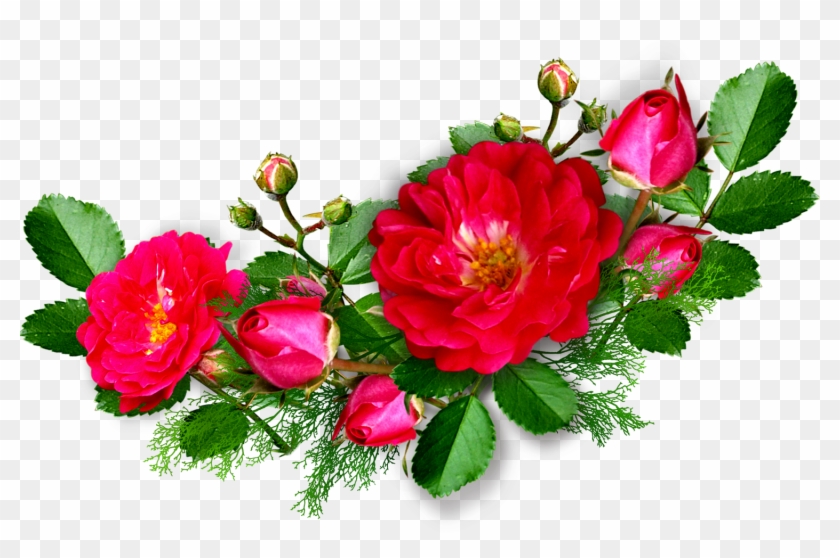Deep Pink Rose - يارب ابنلي بيت عندك في الجنه #625114