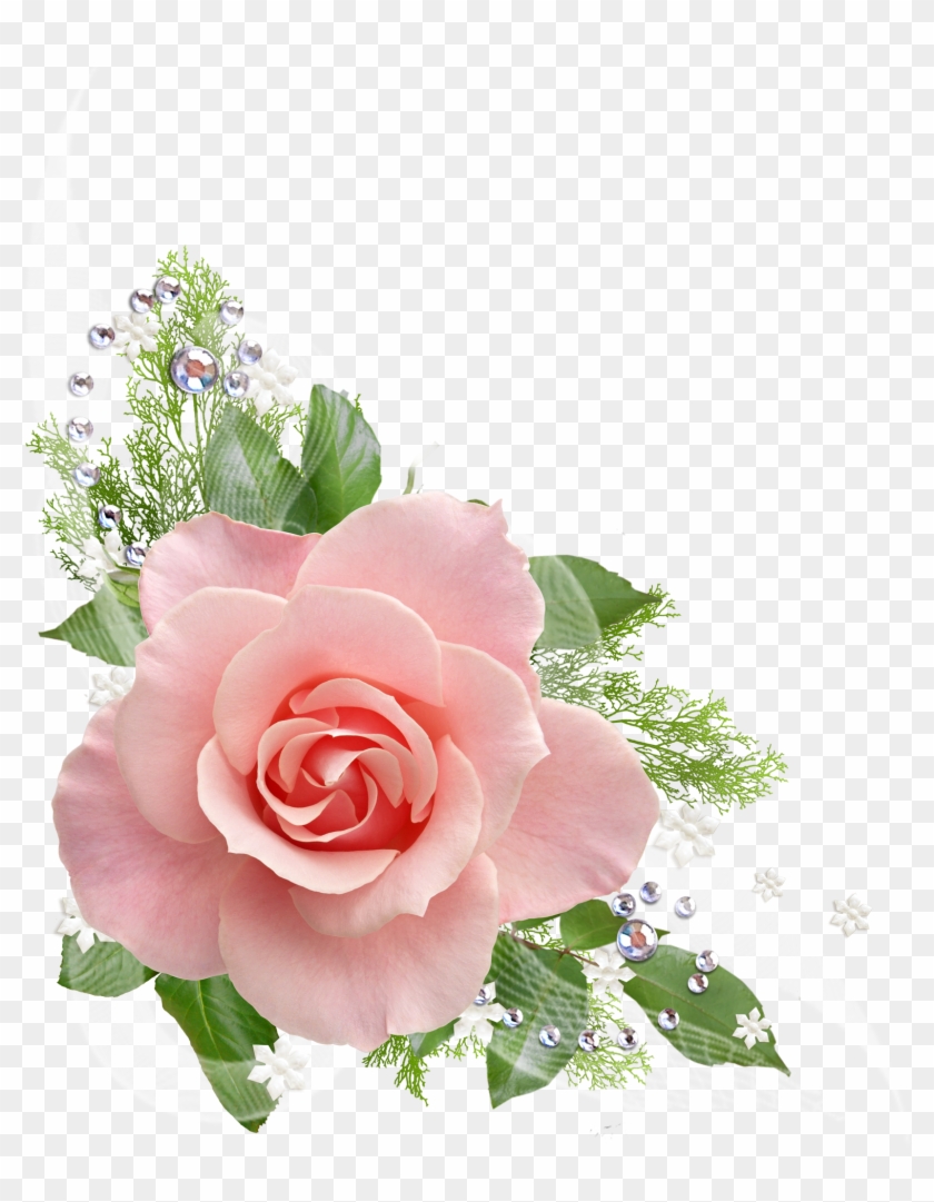 Single Pink Rose Png - Zinnor New Design Stainless Steel Bathroom Paper Holder #625174