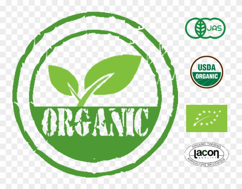 Only Organic - Body Butter Organic - Moisturiser For Dry Skin - Best #625519