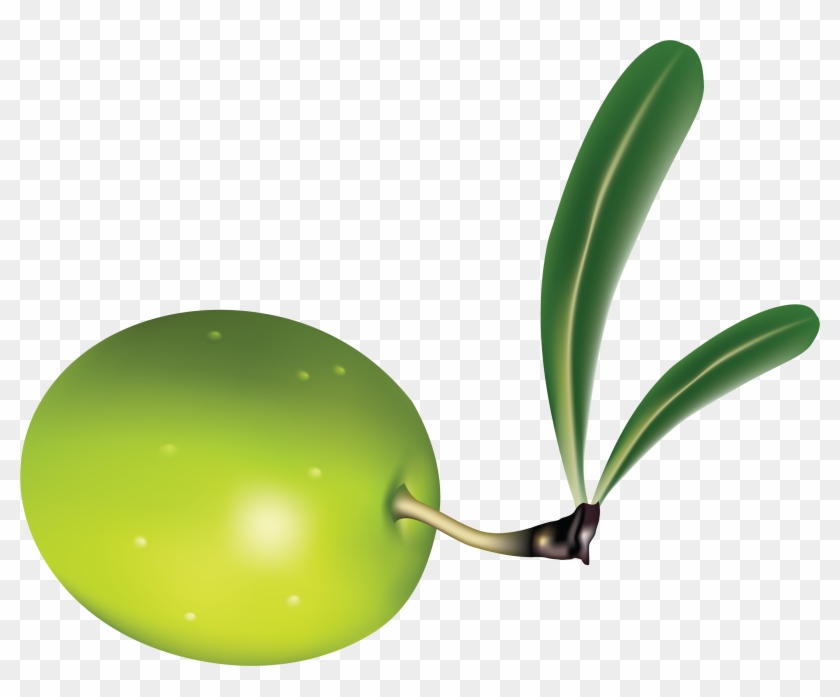 Olives Background Png Image - Olives Background Png Image #626614