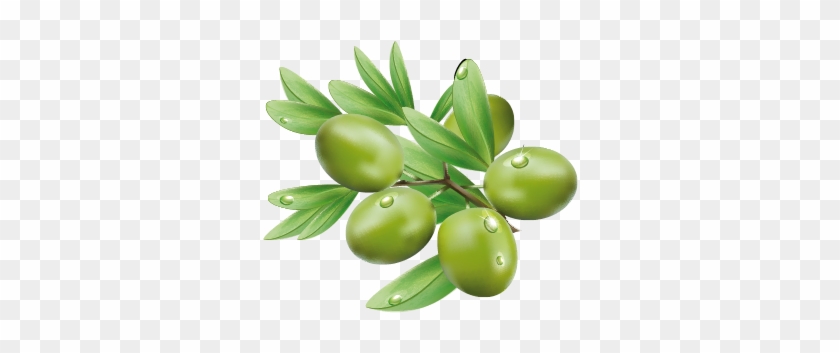 Olive #626638