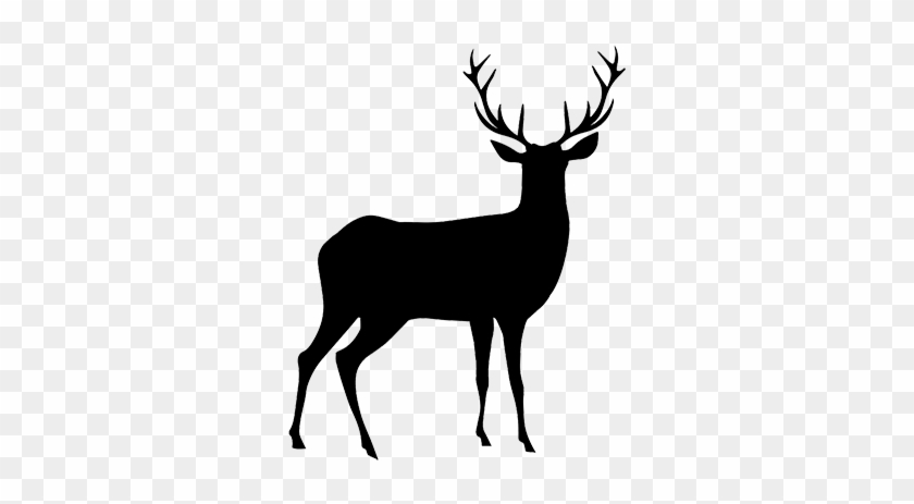 Venison - Deer Silhouette Clip Art #626701