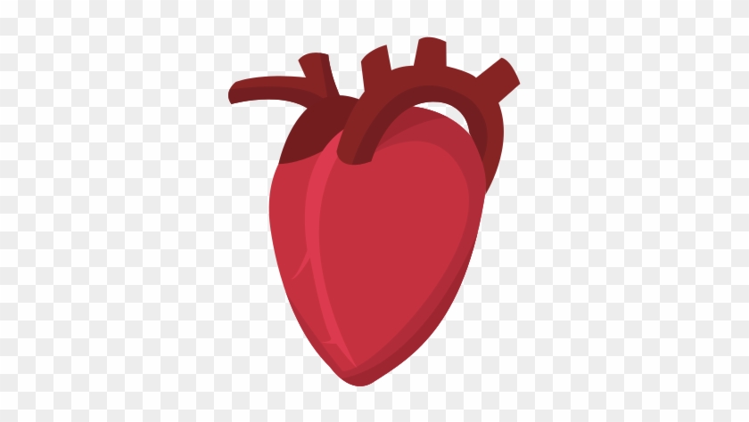 Human Heart Cardio Healthy Icon - Human Heart Vector Png #627859