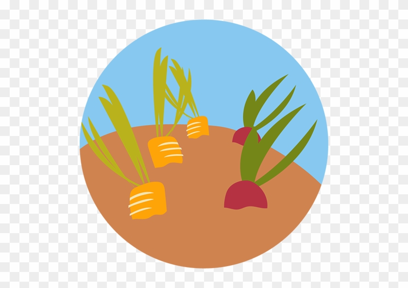 Plant A Row Donate A Row Gardens - Food Waste #628200