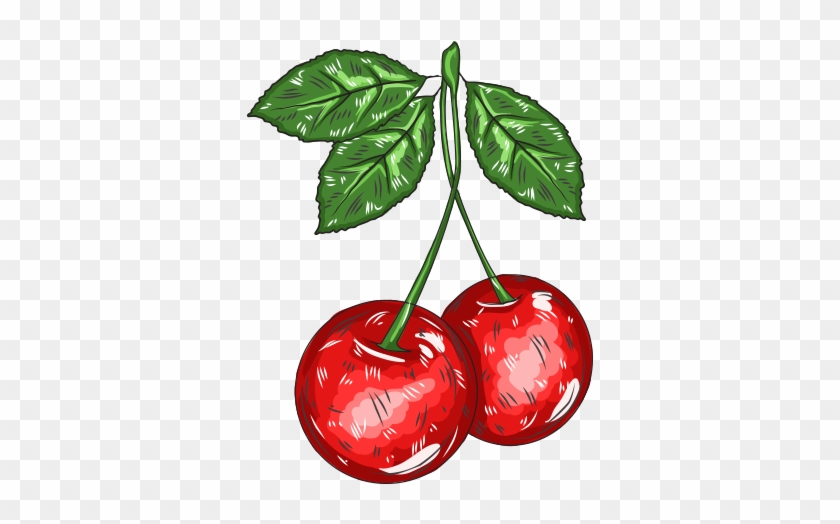 Cherry Cartoon Adobe Illustrator - Cherry Cartoon Adobe Illustrator #629454