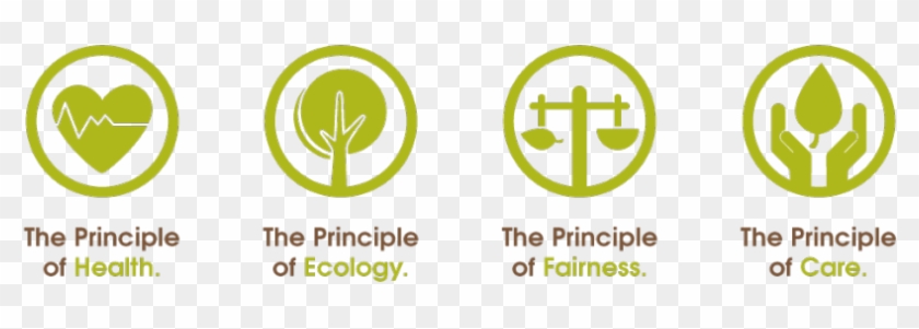 Organic Certification #630121
