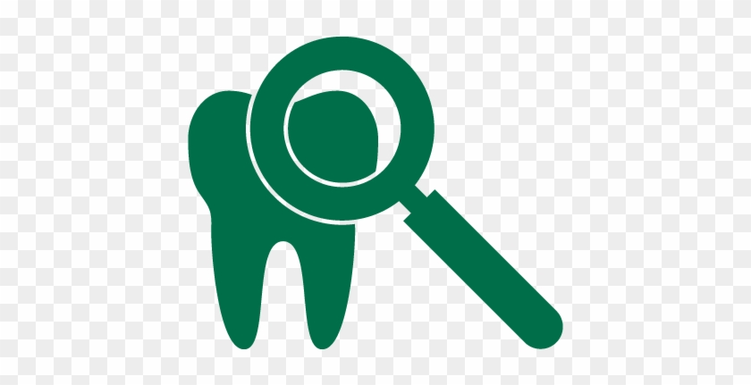 100% Of Dental Hygiene Students Find Jobs When They - Tooth #630212