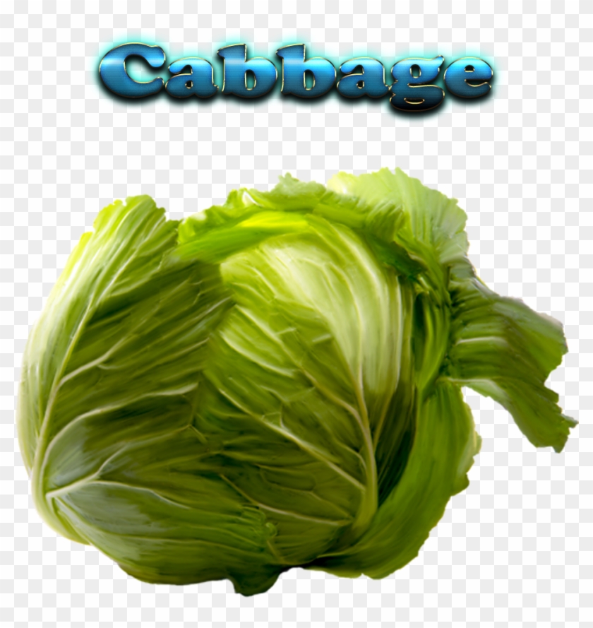 Cabbage Free Download Png - Portable Network Graphics #630464