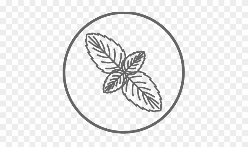 Natural Mint Leaves Help Fight Bad Breath - Snowflake #631024