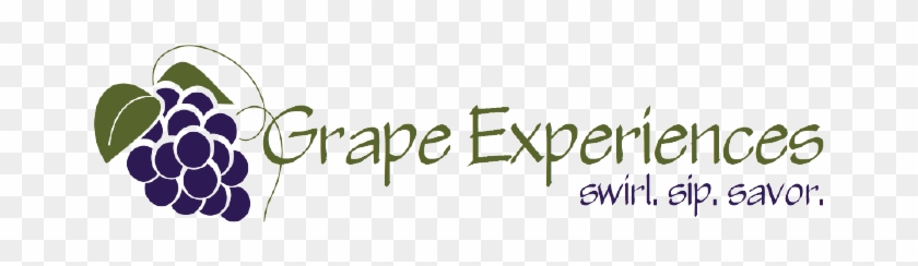 Grape Experiences - - - Purefun! White Grape Flavored 100% Juice Blend Concentrate #631073