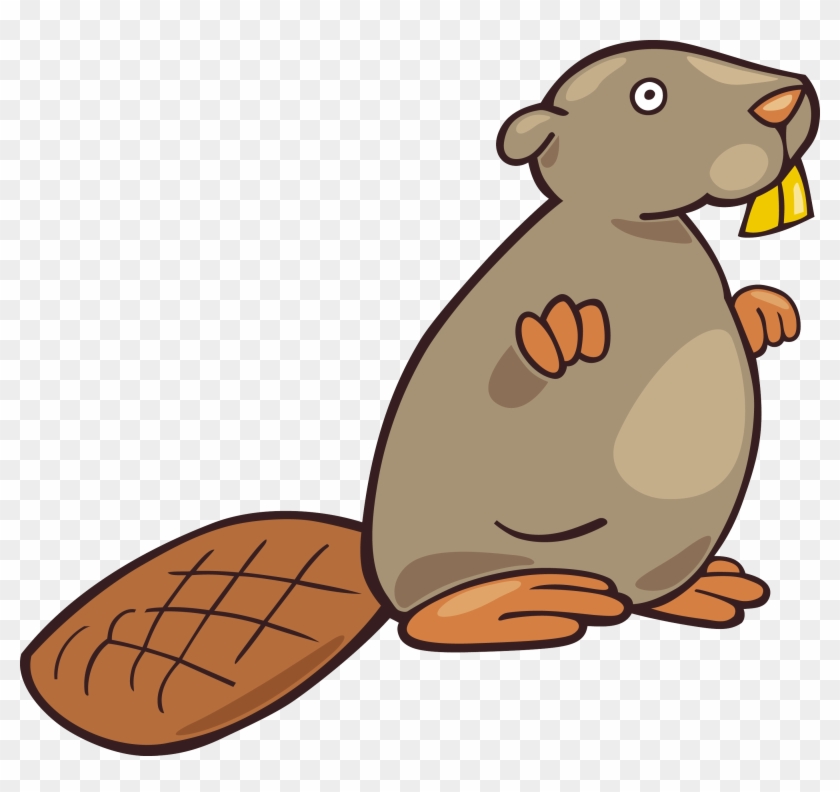 Beaver Clipart Transparent Background 30 Cliparts - Illustration #631311