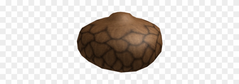 Acorn - Wikia #631553
