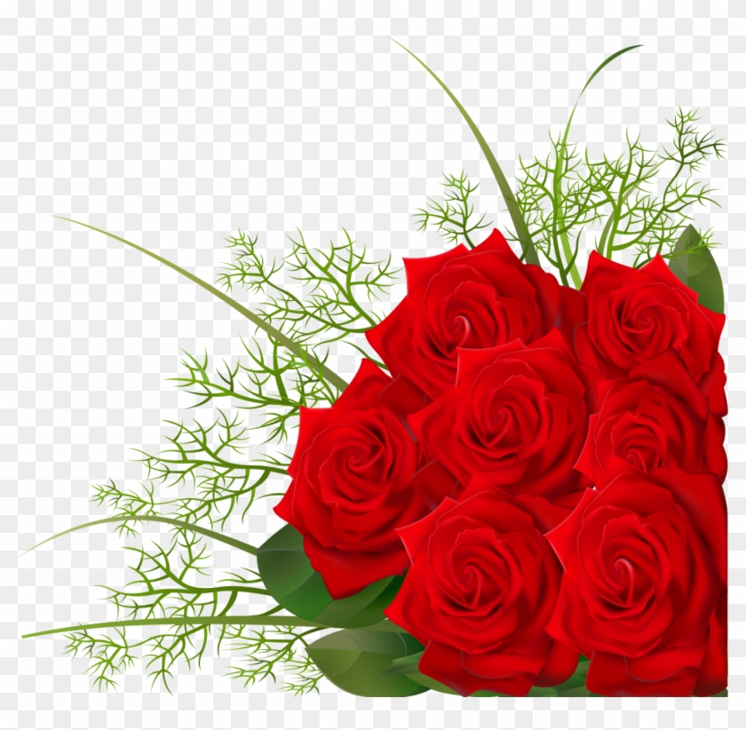 Garden Roses Flower Floral Design Petal - Garden Roses Flower Floral Design Petal #632145