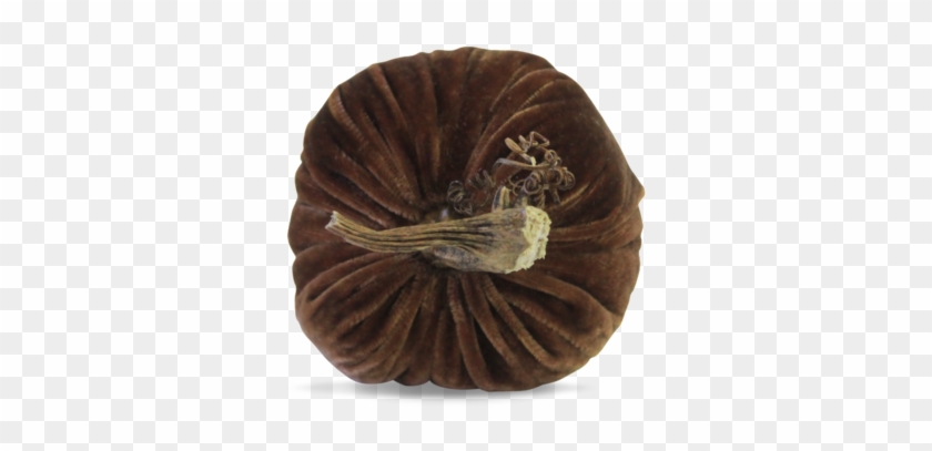 Pumpkin #632833