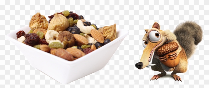 Scrat Ice Age Acorn Snack Animation - My Precious | Scrat & Acorn (ice Age) | Tank #632853