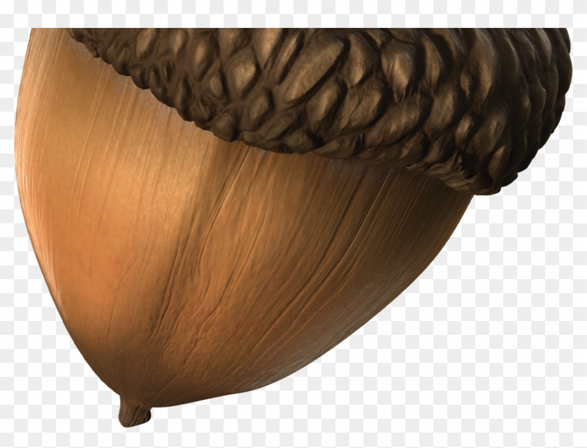 ¿cuál Es Tu Producto Preferido De La Gama Grumete - Coffee Table #632868
