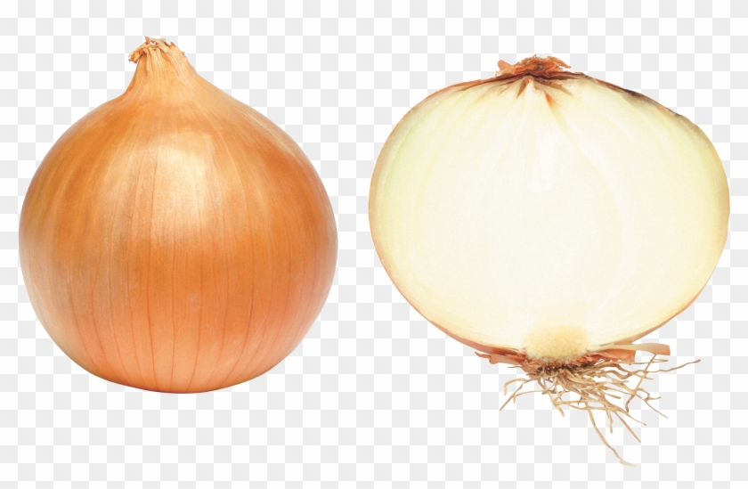   Onion Clipart #633920