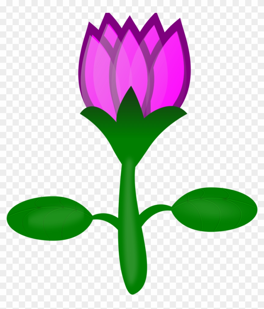 Christmas Flower Outline Vector Black White Lotus Flowers - Cartoon Flowers No Background #119687