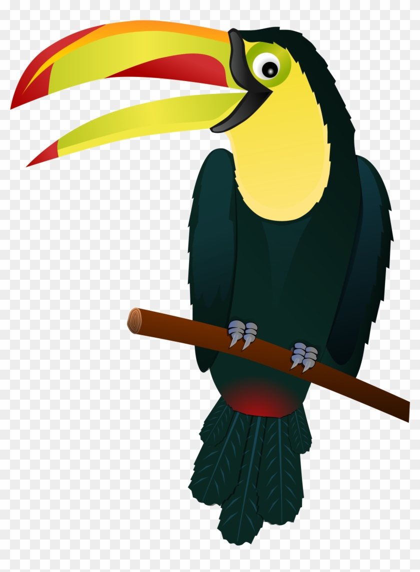 Toucan Clipart Free Clip Art Images - Tropical Bird Clip Art #120616