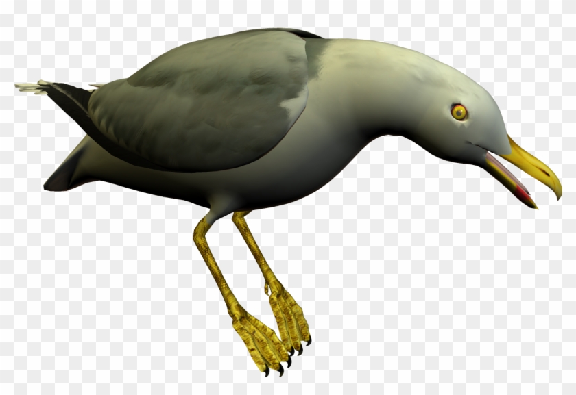 Download - Seagull Clipart #120680