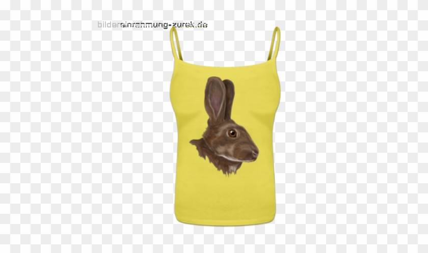 Audubon's Cottontail #635346