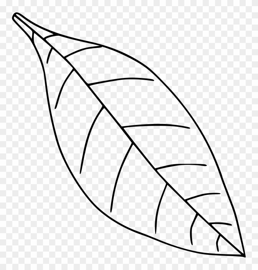 Medium Image - Leaf Clipart Black And White #635889