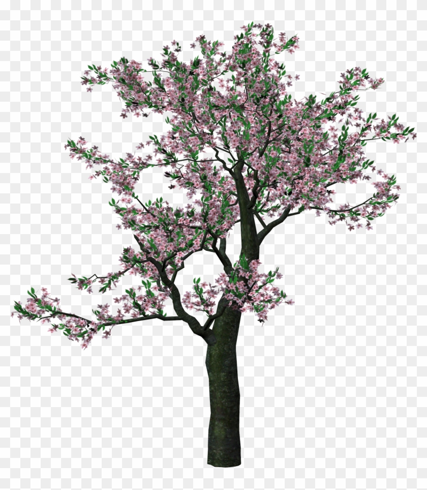 Showing Post & Media For Spring Tree Clip Art Cartoons - Spring Trees Png #635927