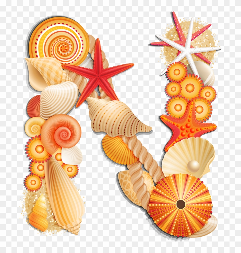 Яндекс - Фотки - Transparent Background Sea Shells Clipart #637581