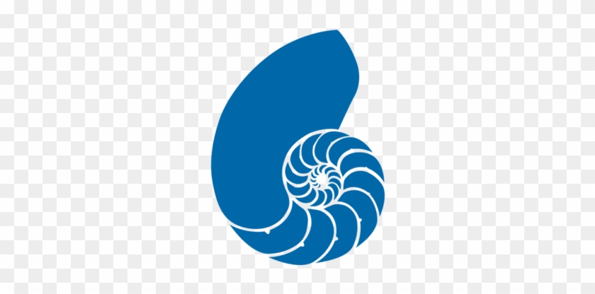 Blue Seashell Clipart Bclipart Free Clipart Images - Blue Nautilus Shell #637625