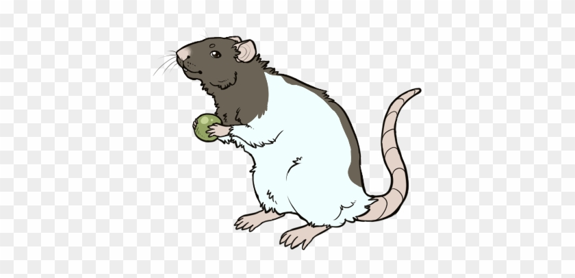 Life As A Lab Rat - Cartoon #638368