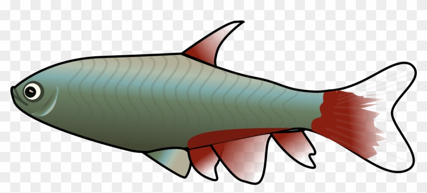 Fish Clip Art - Fish Clip Art #638410