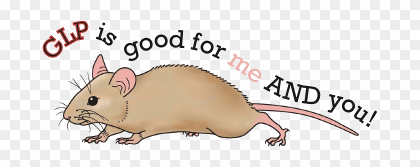As A Basic Scientist, It May Be Difficult To Wrap Your - Mouse Clipart #638376