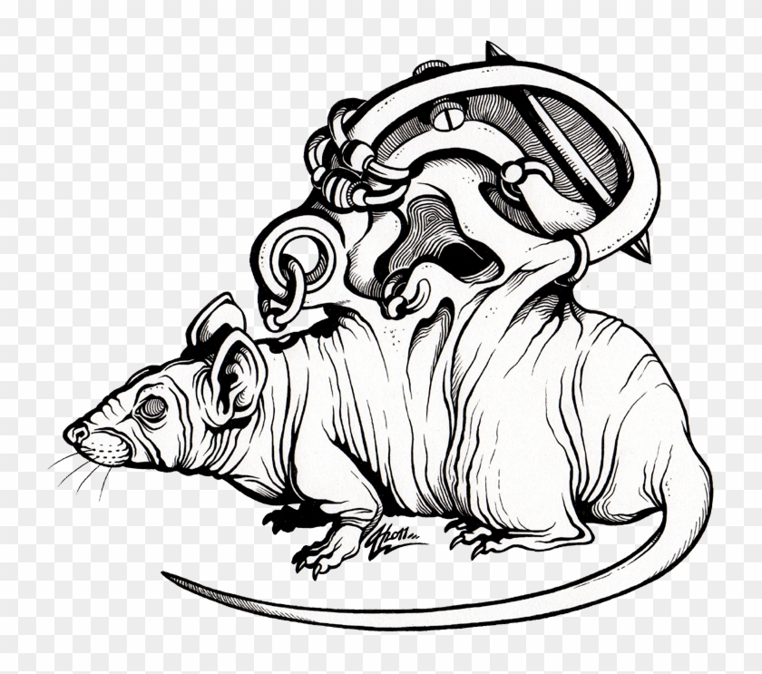 Rat #638382