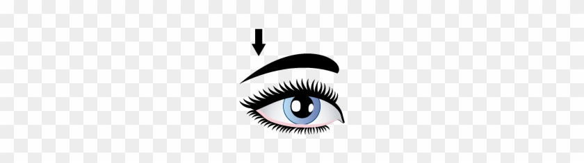 Ceja - - Free Vector #638480