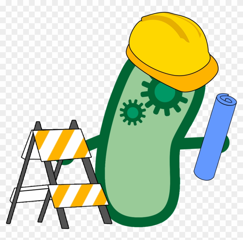 In Order To Put Our Toxin-detecting Bacteria To Use, - International Genetically Engineered Machine #639558