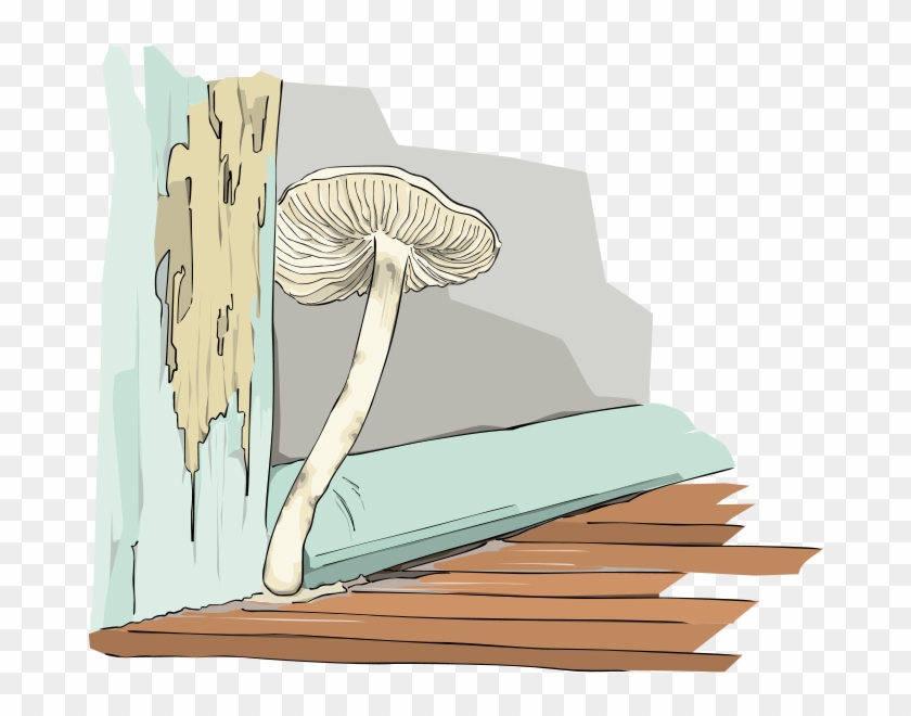 Mushroom #639587