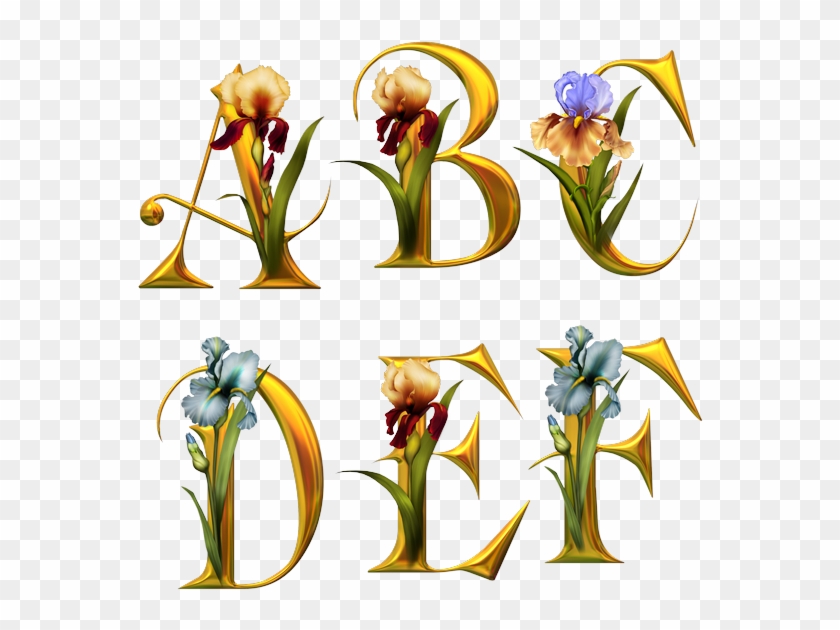 Alphabet Fleurs - Tube Alphabet #640201