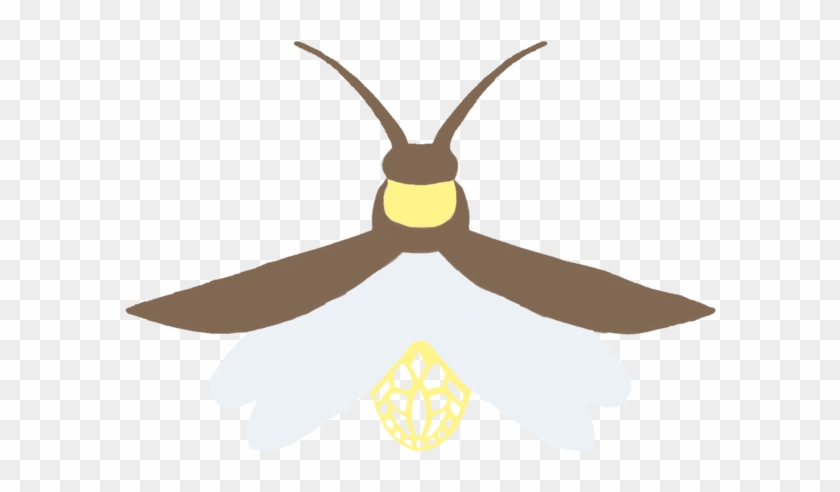 Firefly Transparent Background - Transparency #640630