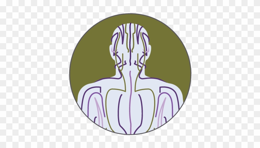 Chapter - Acupressure #641066