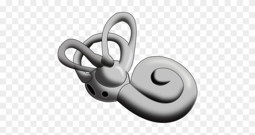 Inner Ear - Inner Ear Png #641938