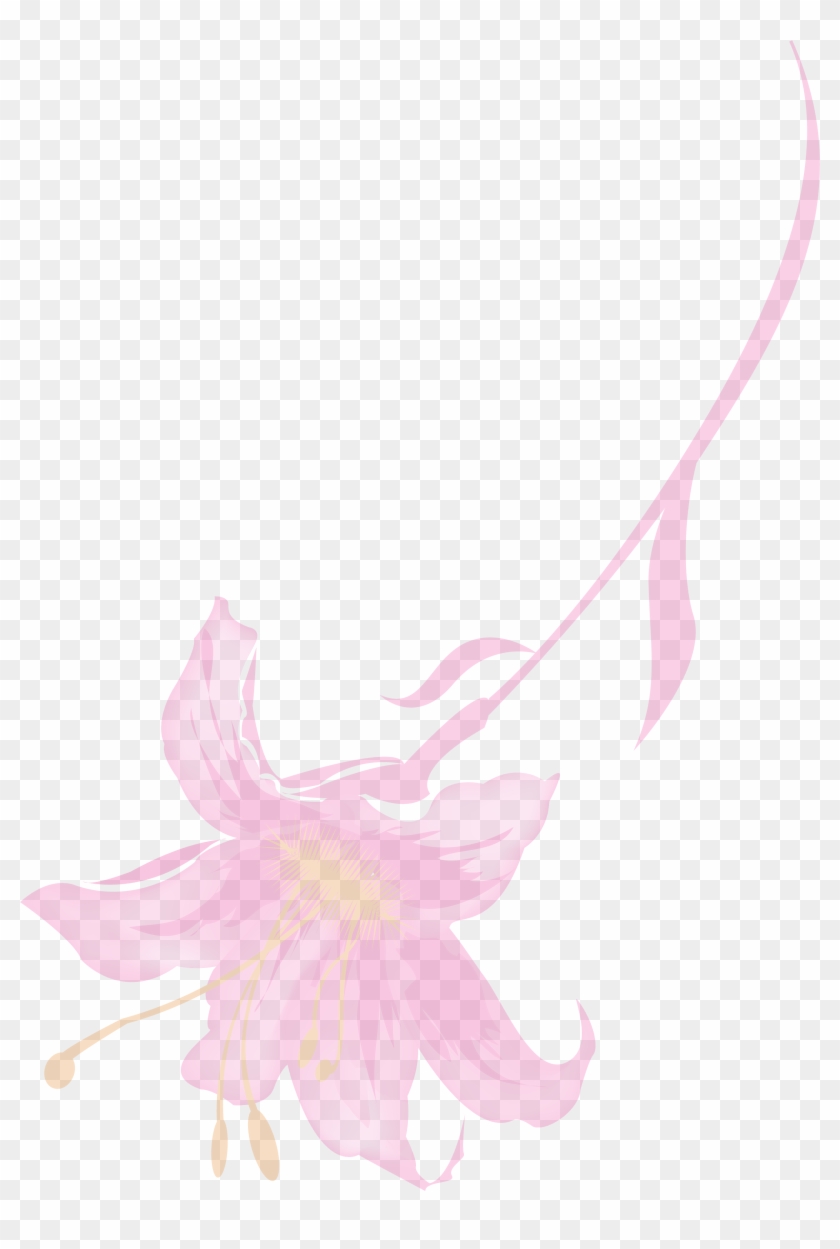 Petal Flora Illustration - Petal Flora Illustration #644690