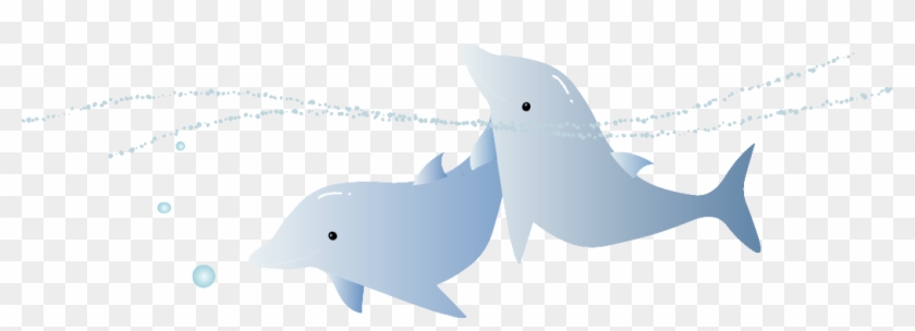 Dolphin Logo Brand - Dolphin Logo Brand #644729